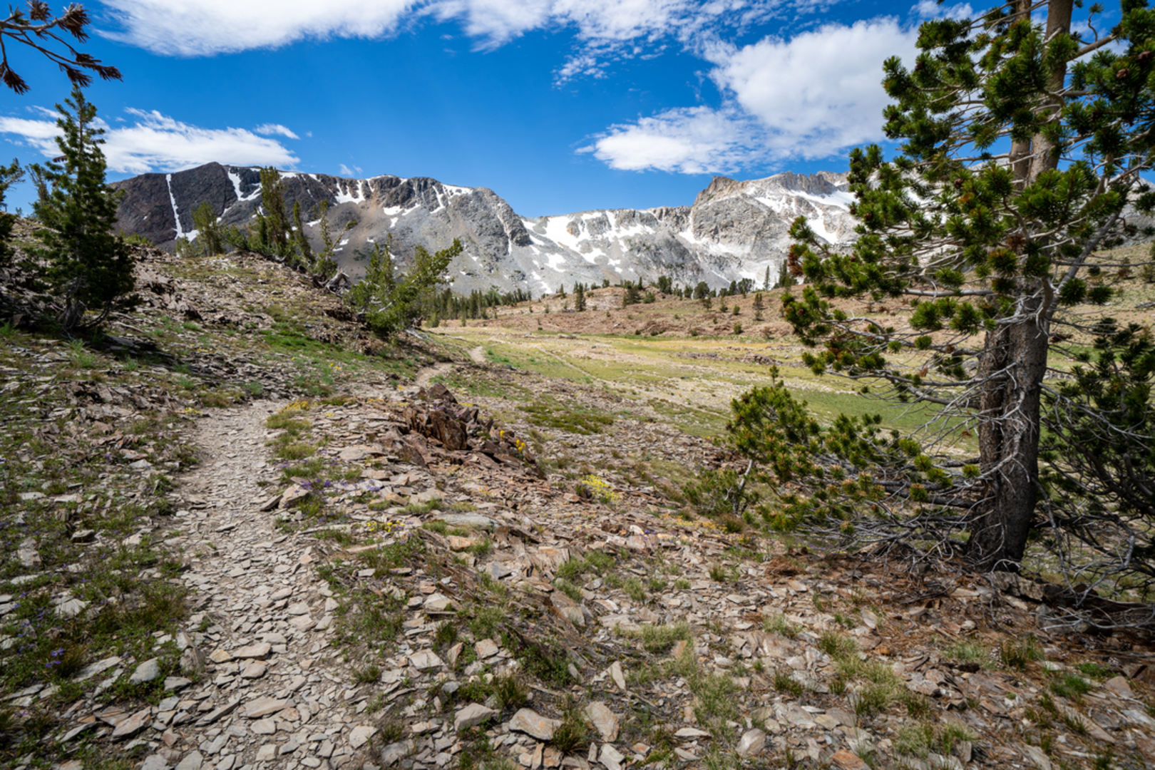 An image depicting the trail Horse Creek Trail and its surrounding area.