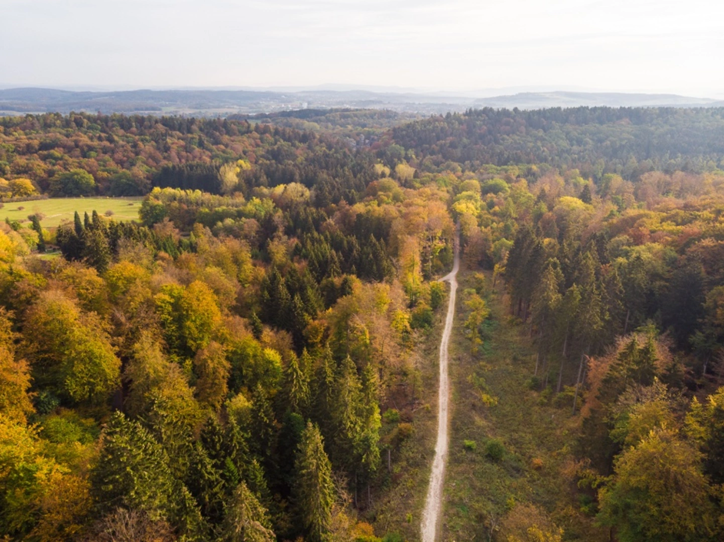 An image depicting the trail Hermannsweg and its surrounding area.
