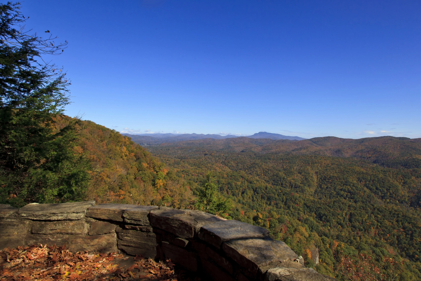 An image depicting the trail Yancey Ridge Trail and its surrounding area.
