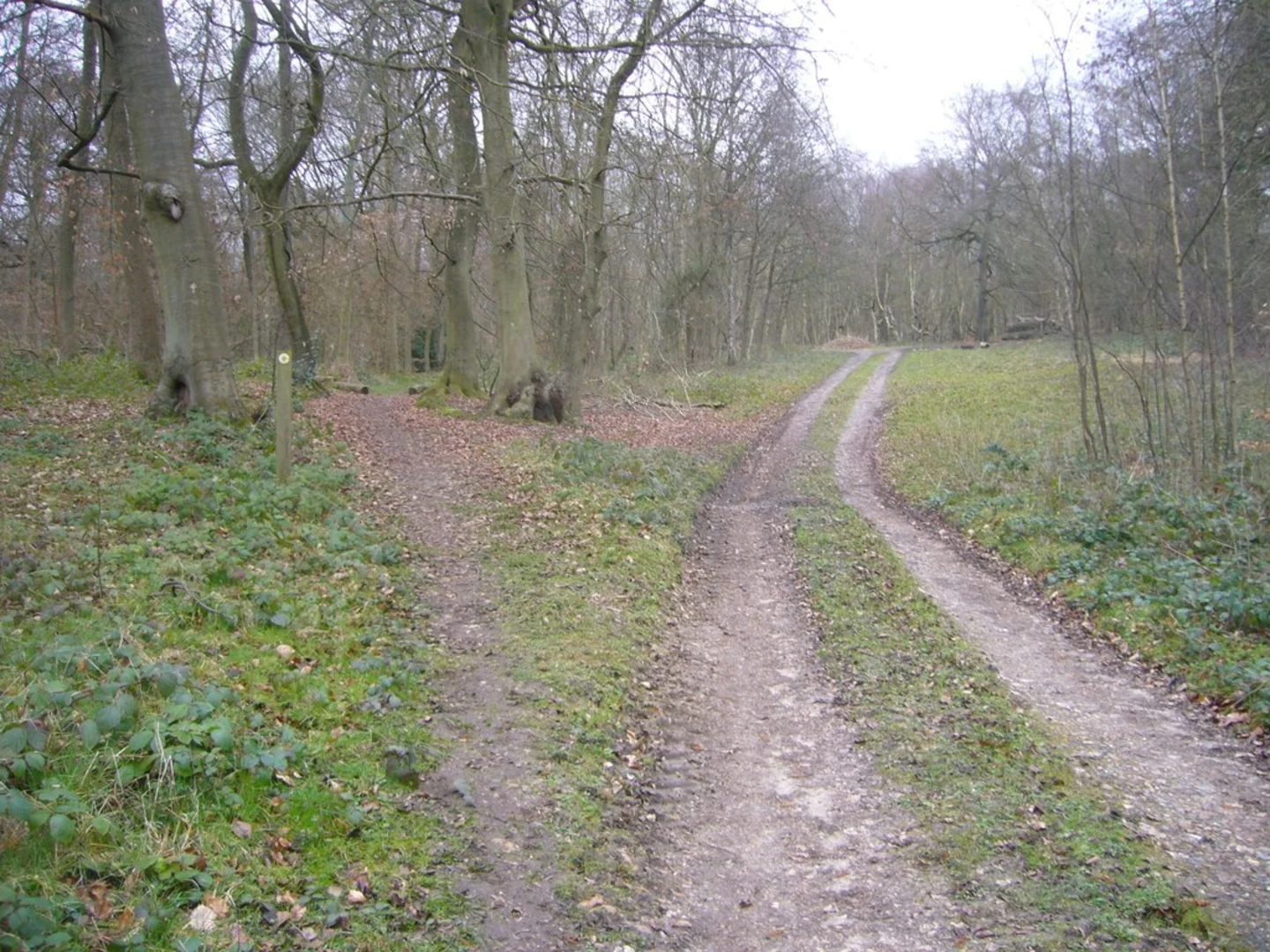 An image depicting the trail Spade Oak Local Nature Reserve and Warren Wood Loop and its surrounding area.