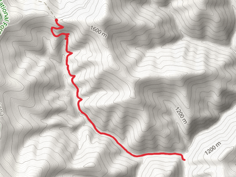 West Fork Trout Creek Trail