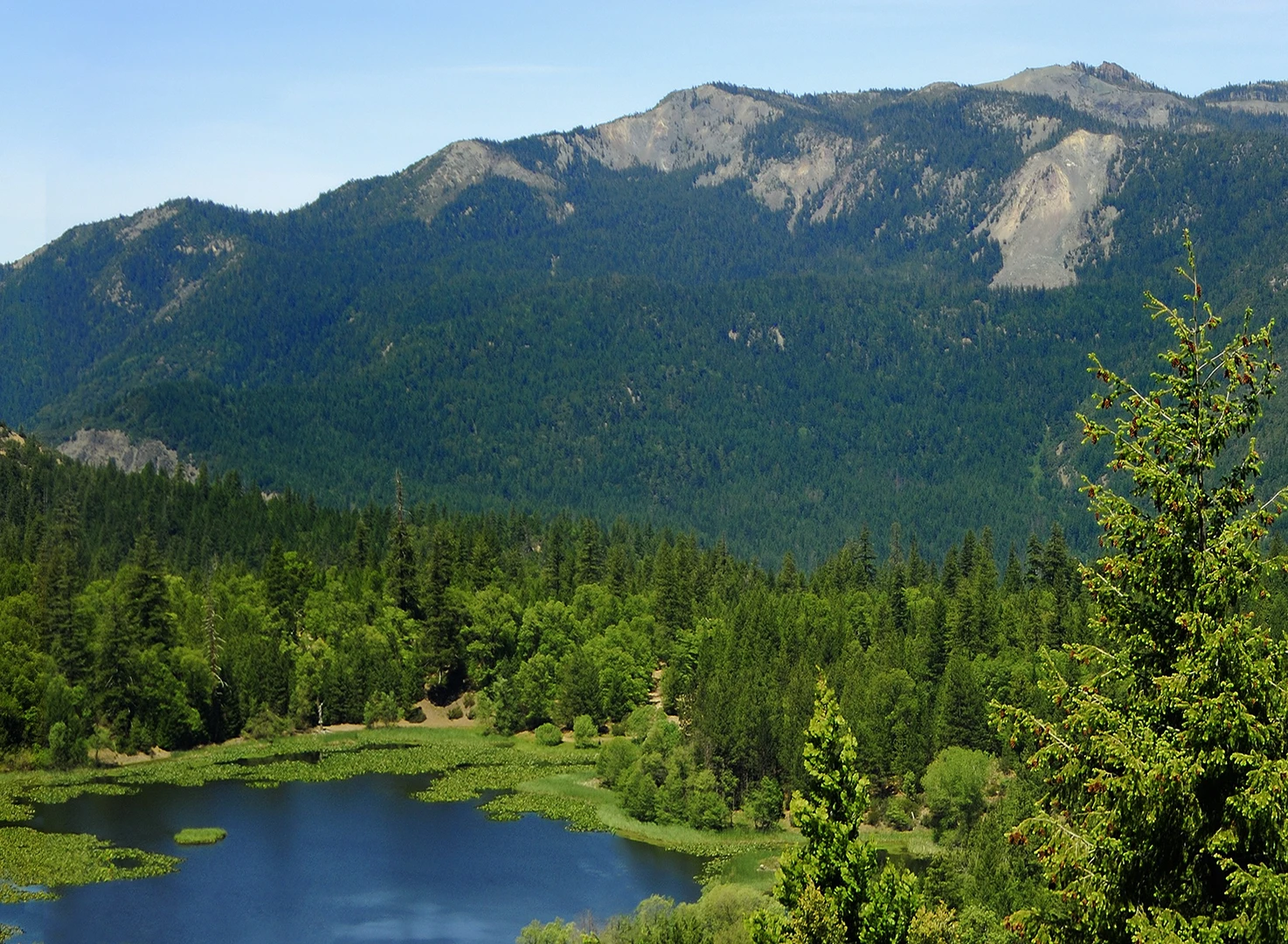 An image depicting the trail Howard Lake Loop and its surrounding area.
