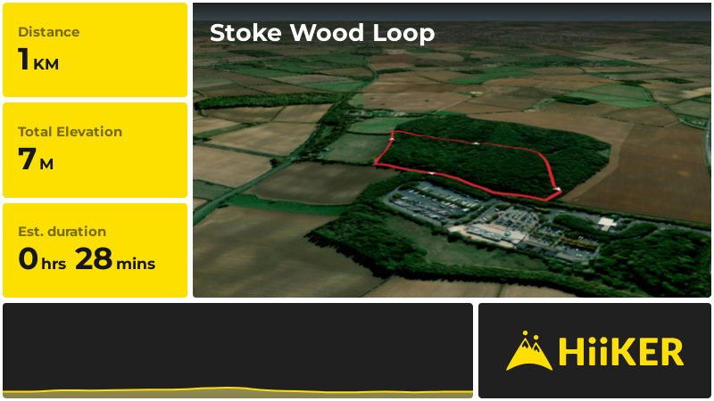 Stoke Wood Loop | Oxfordshire | England