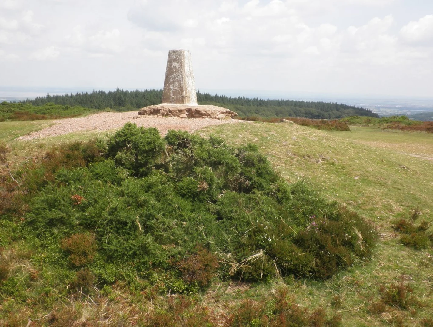 An image depicting the trail Lydeard Hill, Wills Neck and Great Hill Loop and its surrounding area.