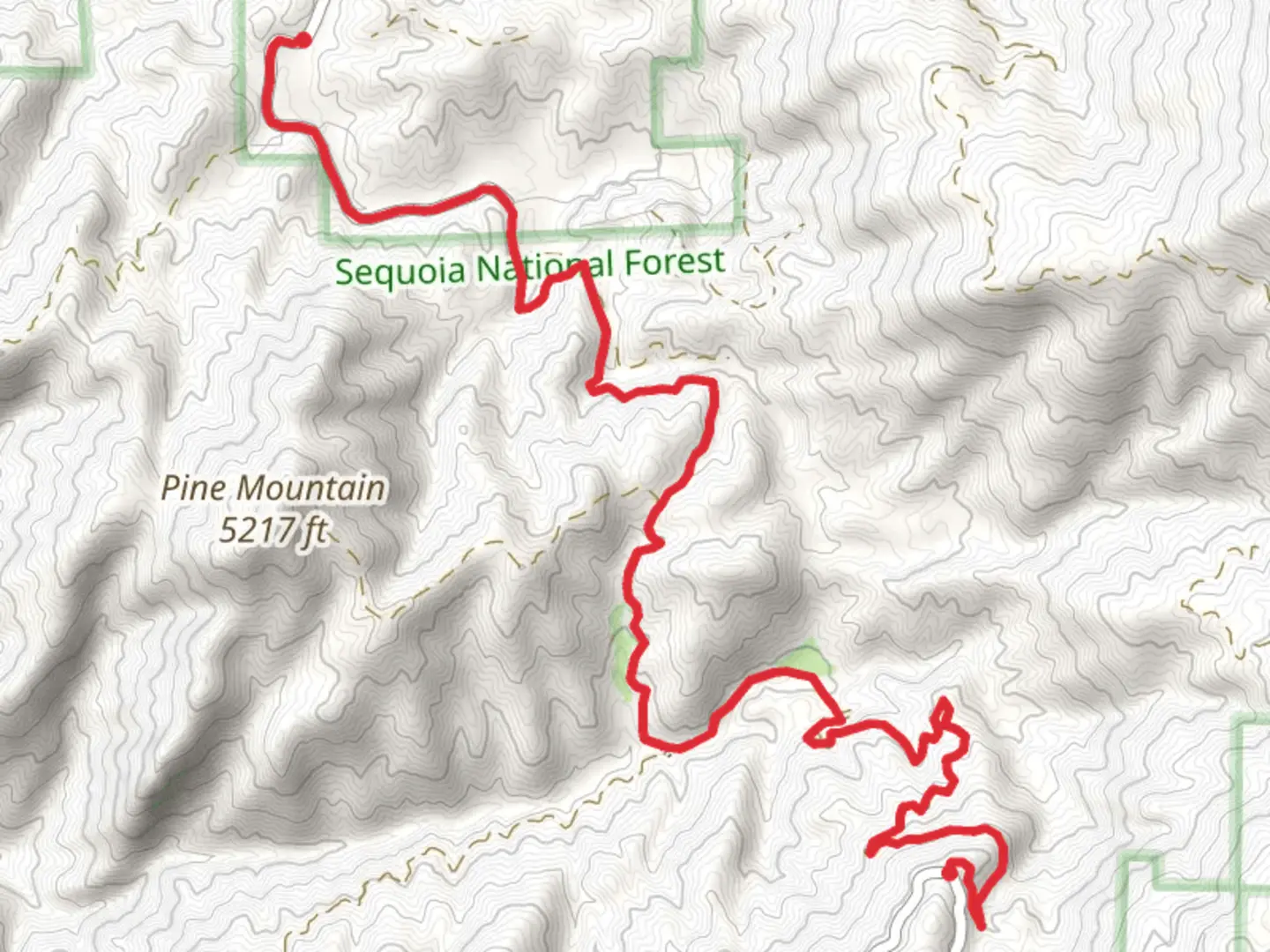 An image depicting the trail Forest Route 20505 and its surrounding area.