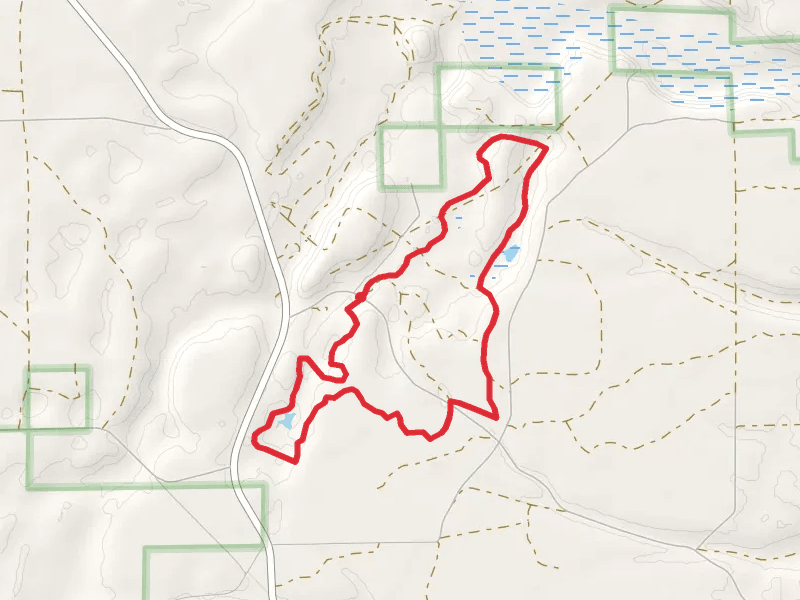 Loop around Tuttle Road