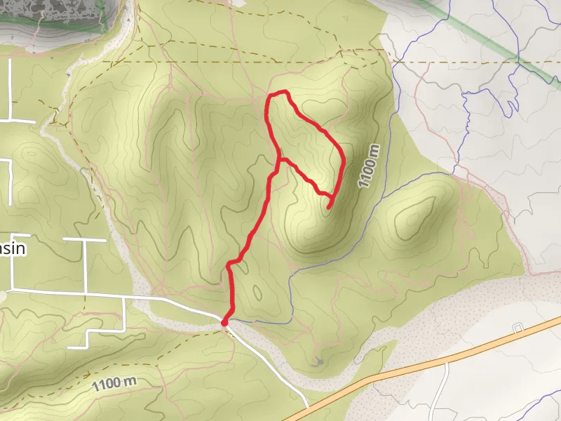 Calico Inner Loop