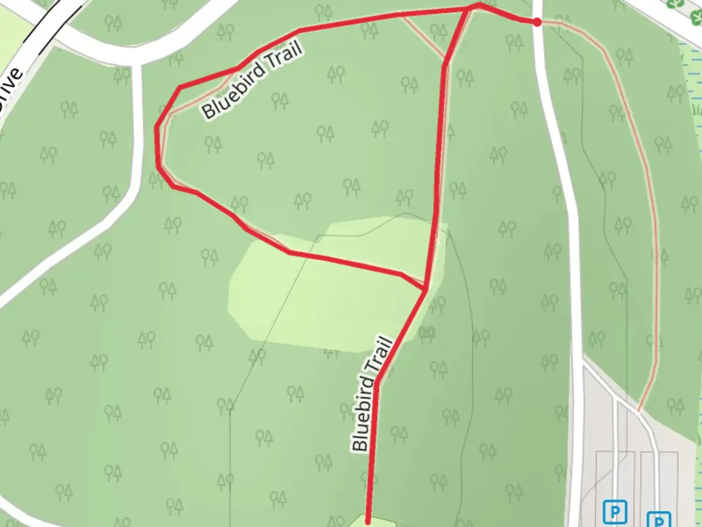 An image depicting the trail Bluebird Loop Trail and its surrounding area.