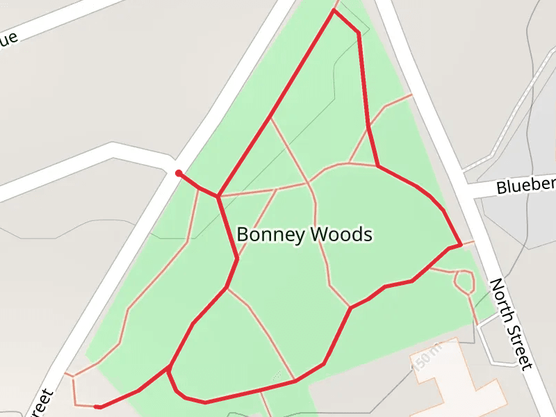 Bonney Woods Loop Trail