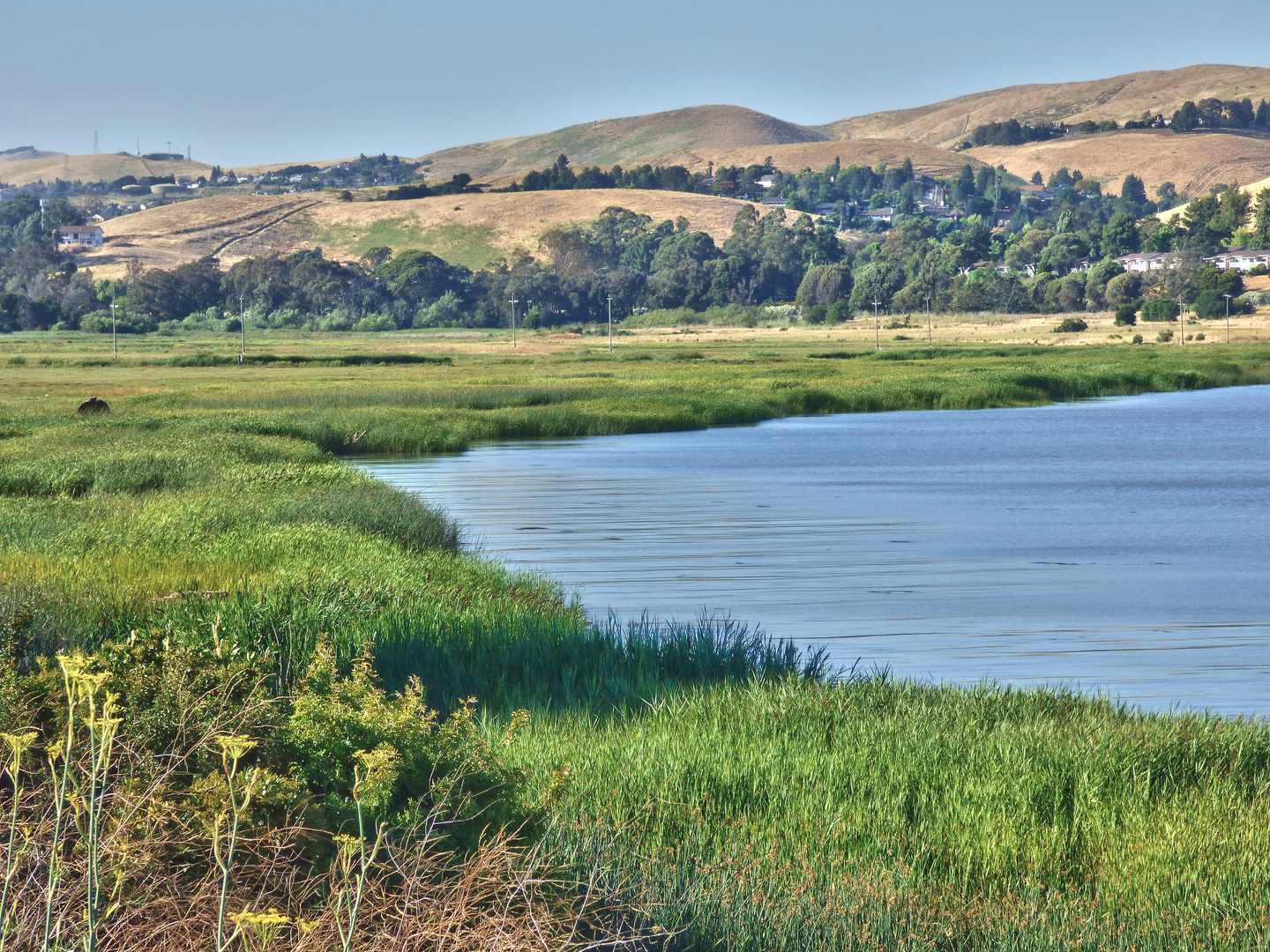 An image depicting the trail Carquinez Strait Loop Trail and its surrounding area.