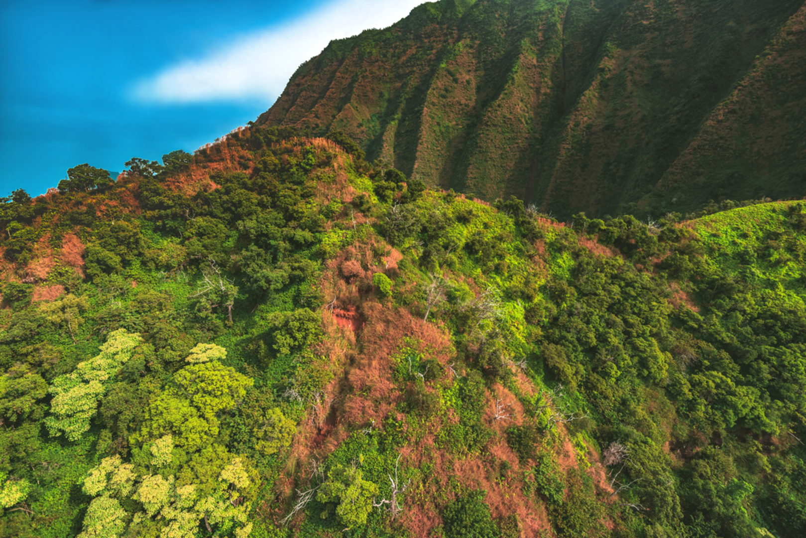 An image depicting the trail Nualolo Cliff Trail via Awa'awapuhi Trail and its surrounding area.