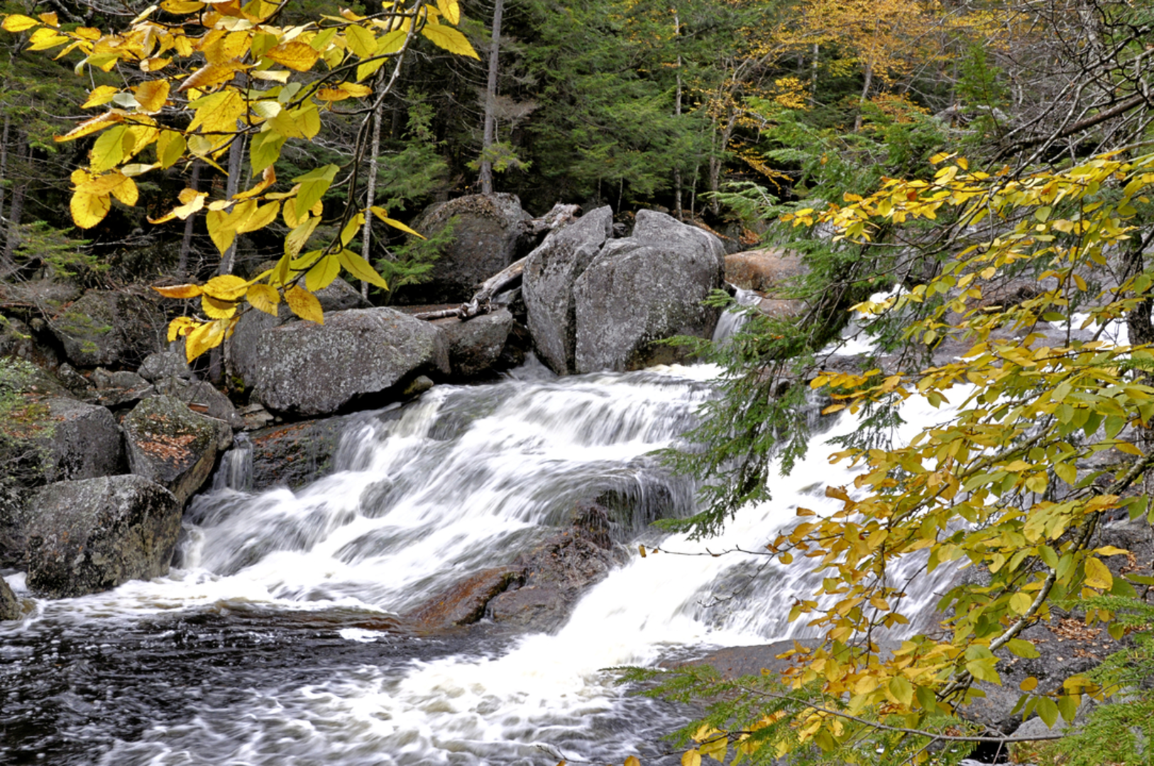 An image depicting the trail Georgiana Falls Trail and its surrounding area.