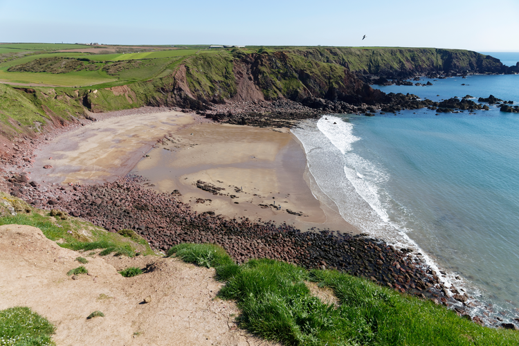 Dale Peninsula Walk