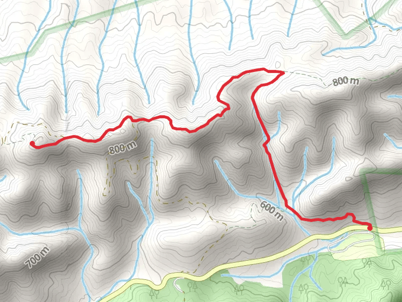 Gum Springs and Meadow Creek Mountain Trail