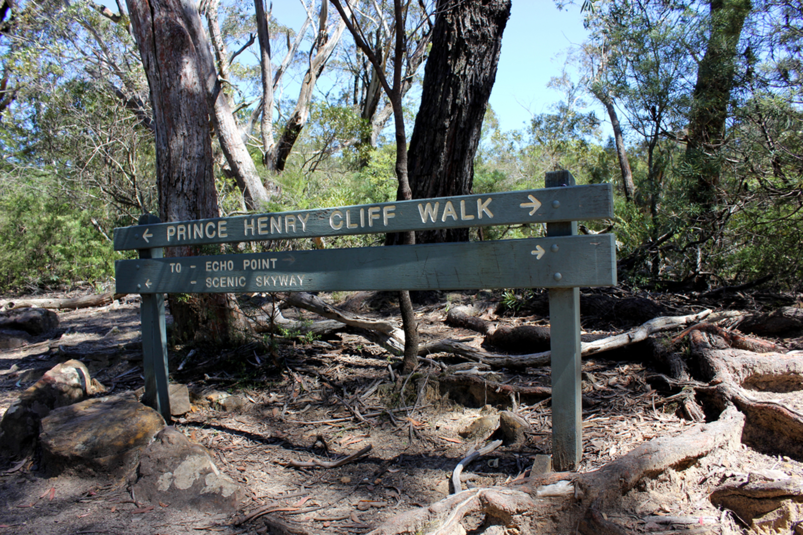 An image depicting the trail Prince Henry Cliff Walk and its surrounding area.