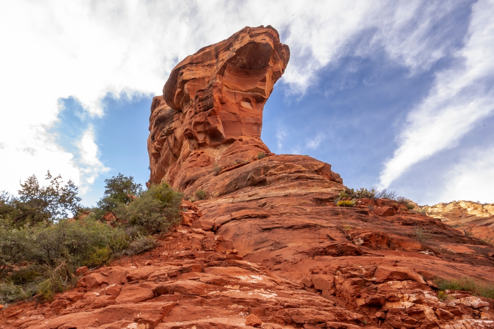 An image depicting the trail Anaconda, Arizona Cypress and Snake Loop Trail and its surrounding area.