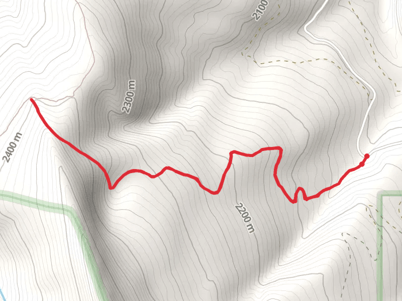 Virgina Peak Trail