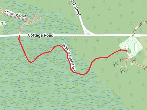 Wild Orange Trail