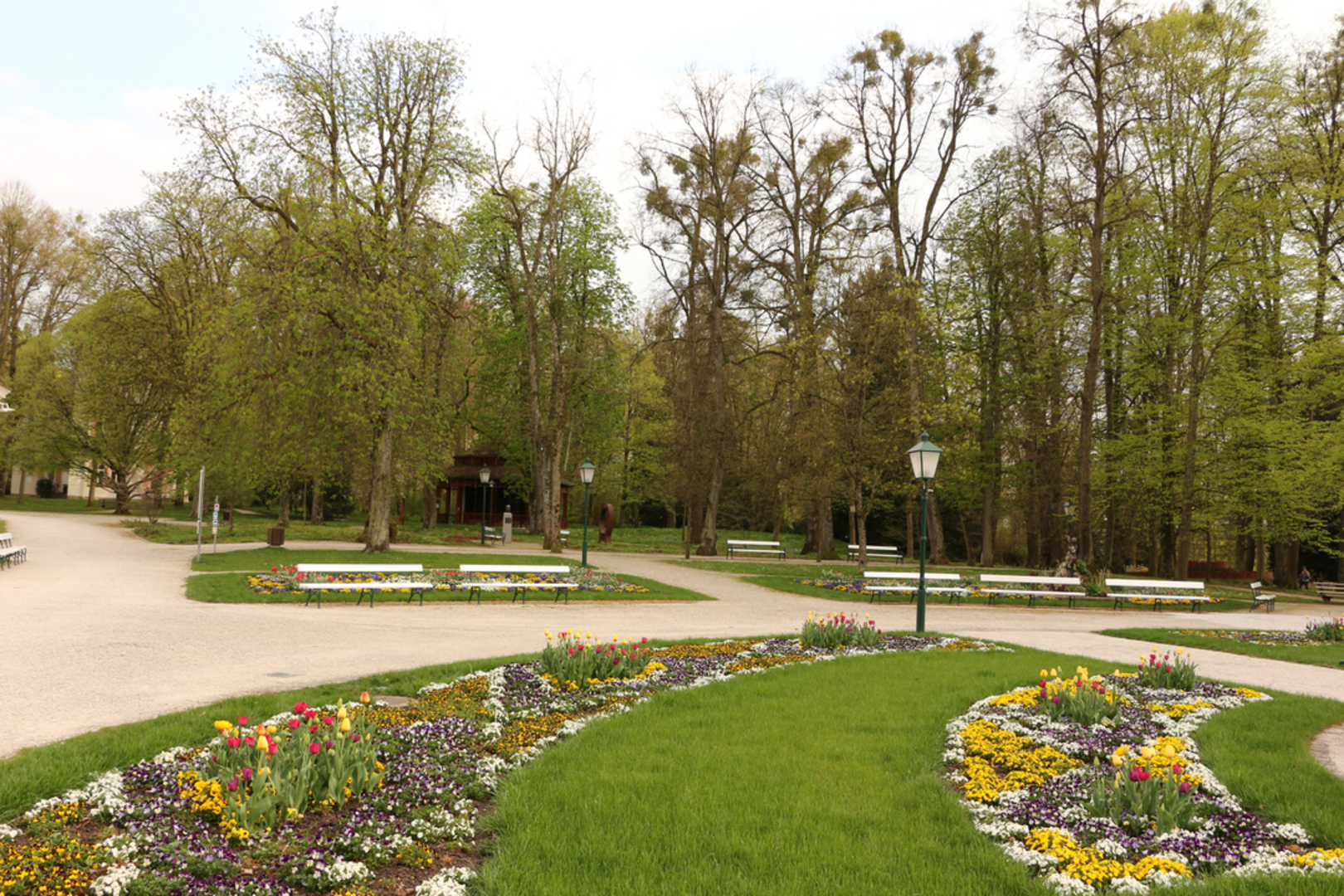 An image depicting the trail Bad Hall - Waldneukirchen - 66 and its surrounding area.