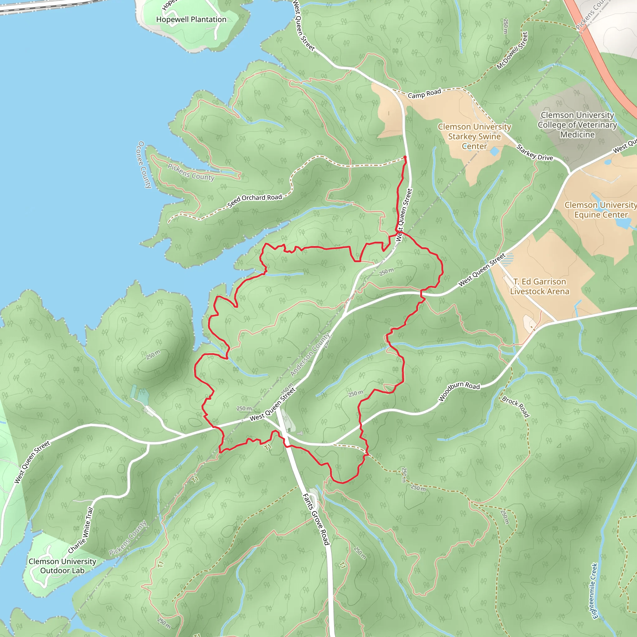 Loop around West Queen Street mobile static map