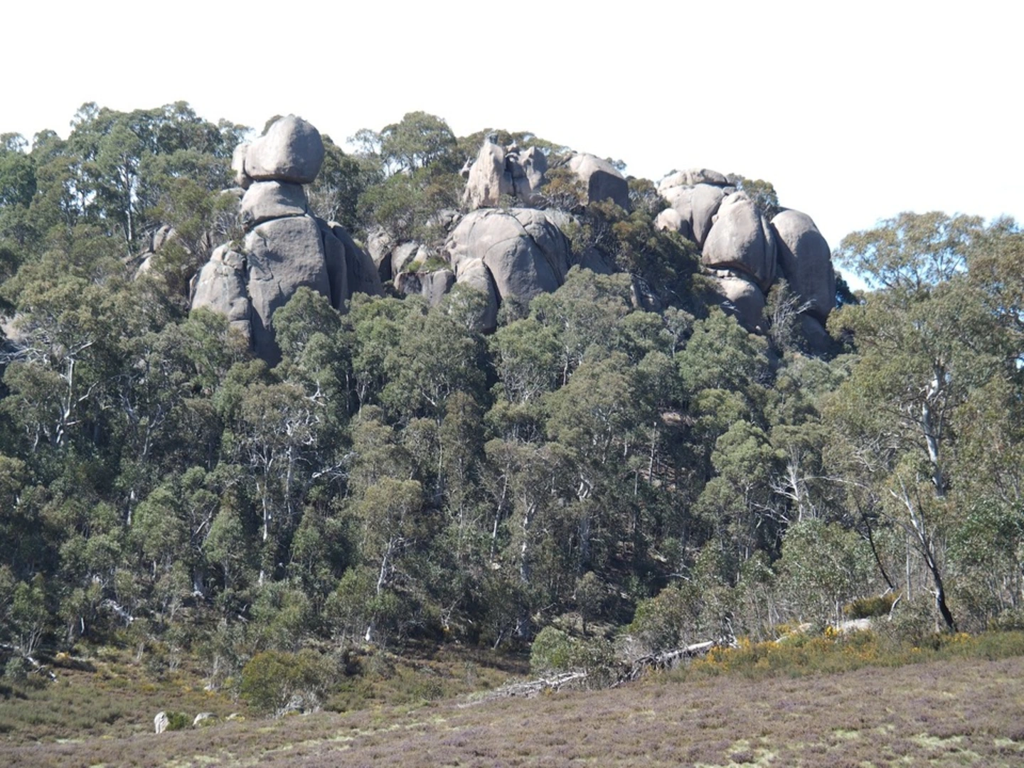 An image depicting the trail Mollisons Galleries Trail and its surrounding area.