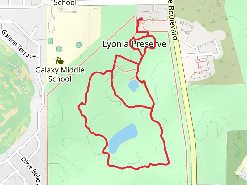 Rusty Lyonia, Red Root and Blueberry Loop Trail