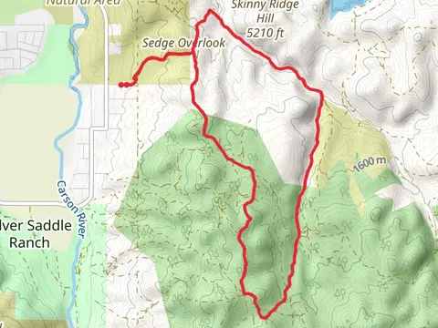 Sedge Overlook Loop