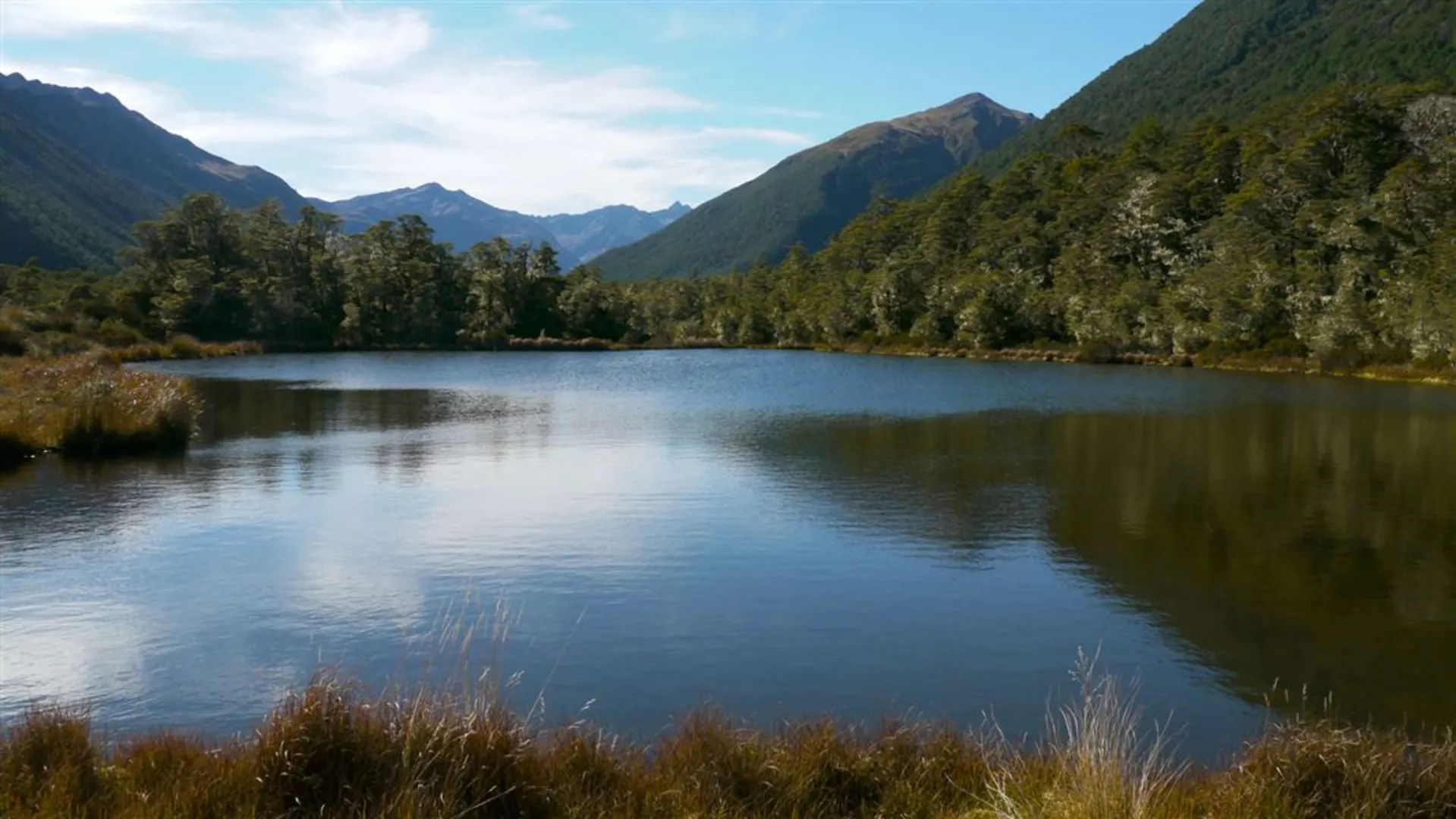 An image depicting the trail Lake Christabel via Robinson River and Saddle Track and its surrounding area.