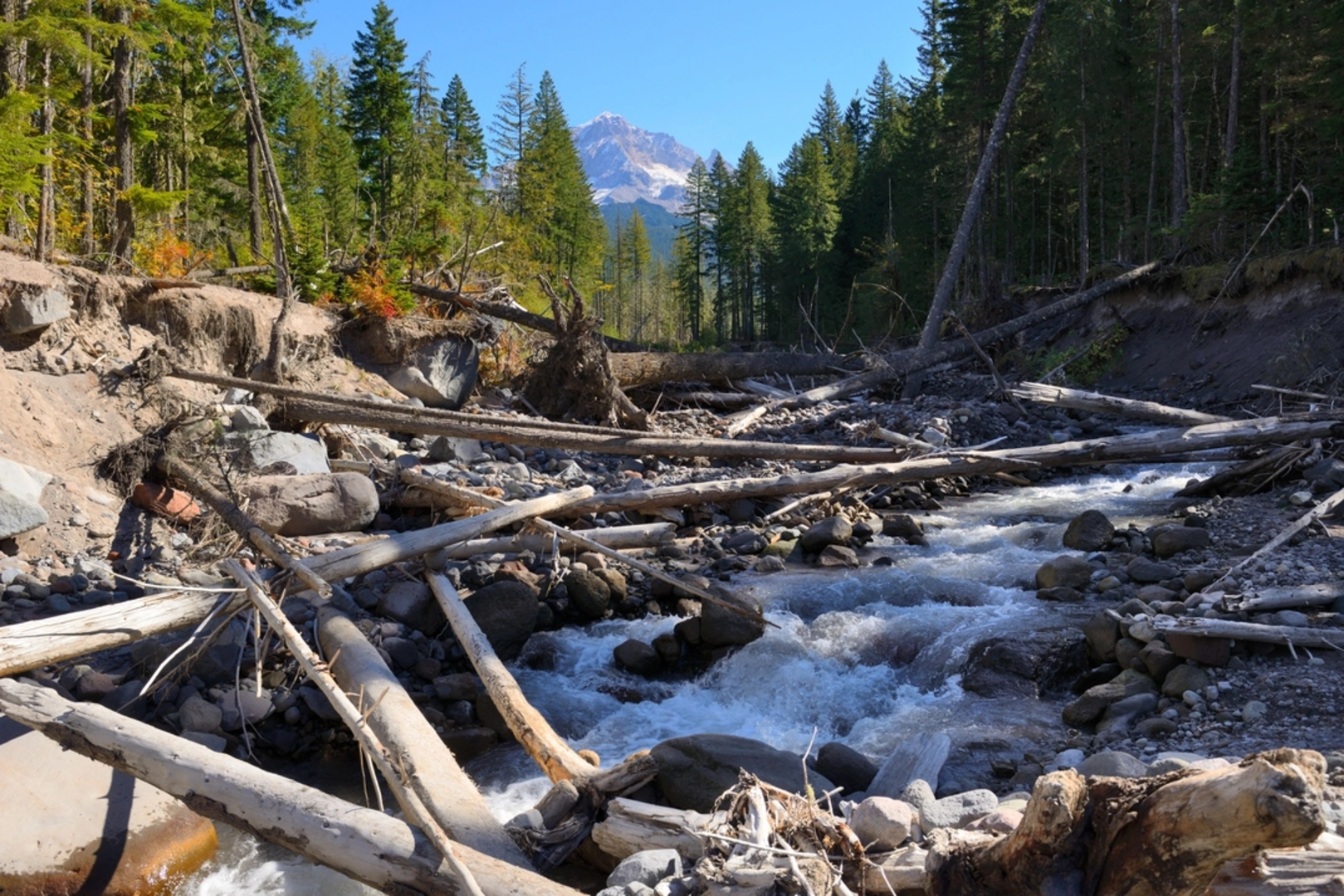 An image depicting the trail Sandy River Trail and its surrounding area.