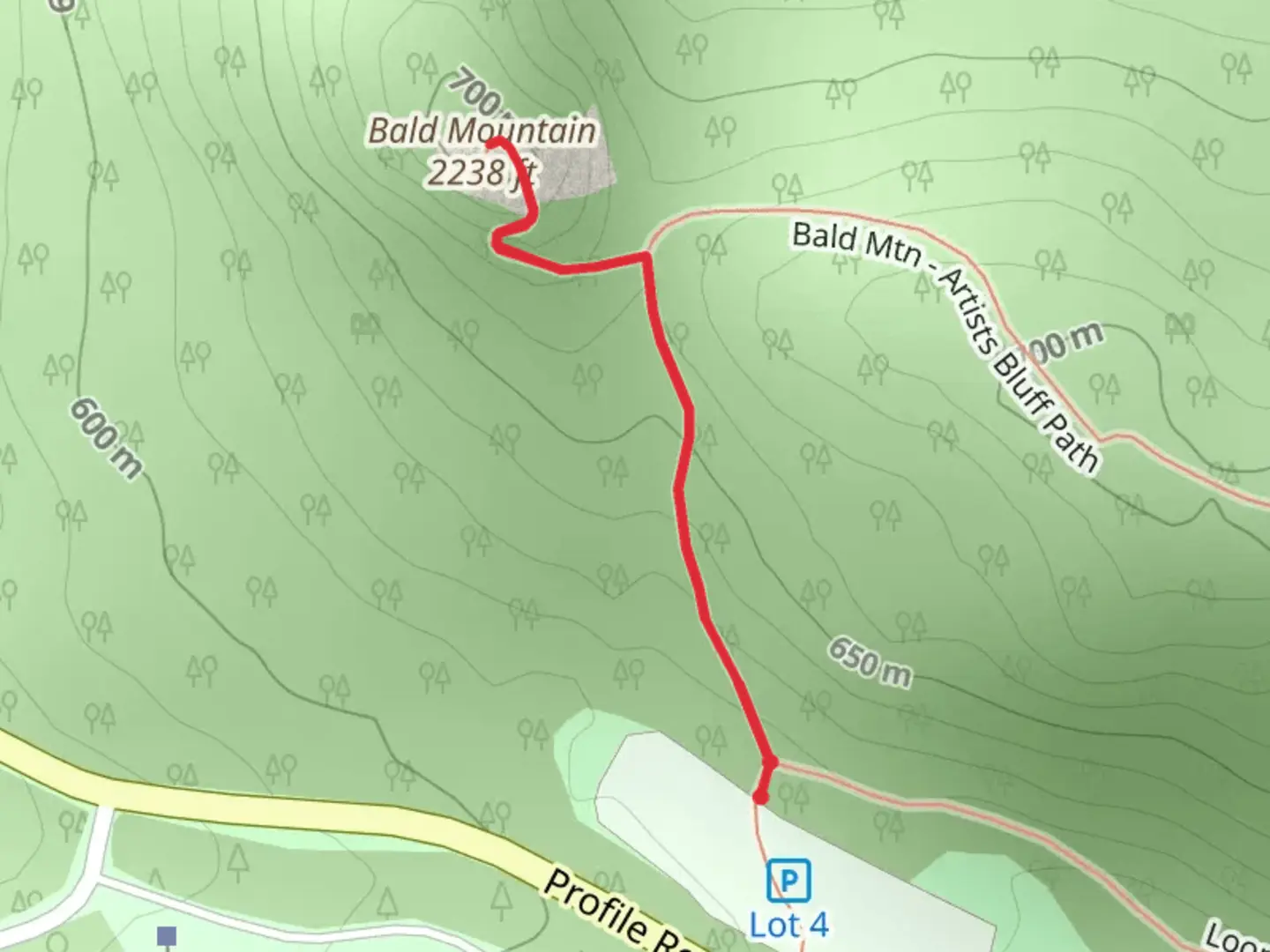 An image depicting the trail Bald Mountain from Profile Road and its surrounding area.