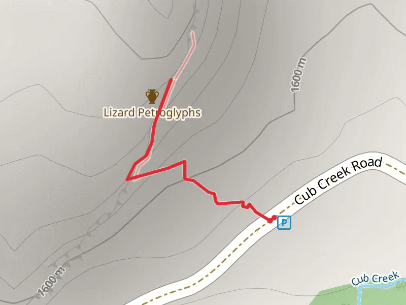 Lizard Trail