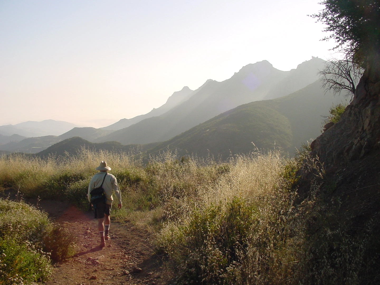 An image depicting the trail Backbone Trail - Latigo Canyon Road and its surrounding area.