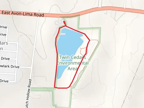 Twin Cedars Loop Trail