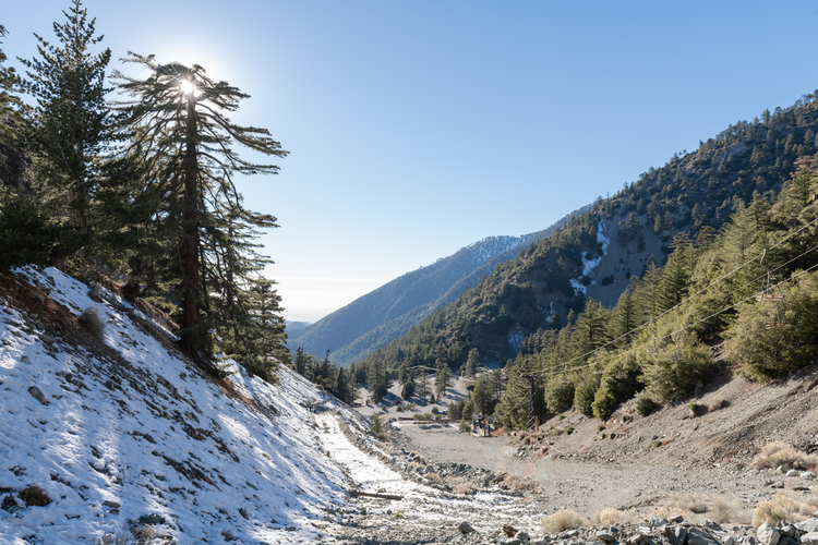 Mount Baldy via Tahoe Rim Trail