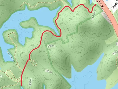 Noeton Boat Launch Walk to Holston River