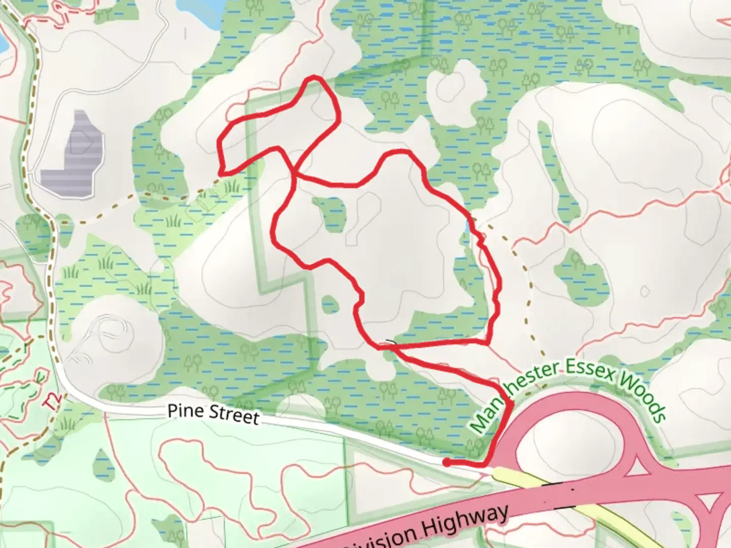 An image depicting the trail Dug Hill-Spruce Swamp Area Loop Trail and its surrounding area.