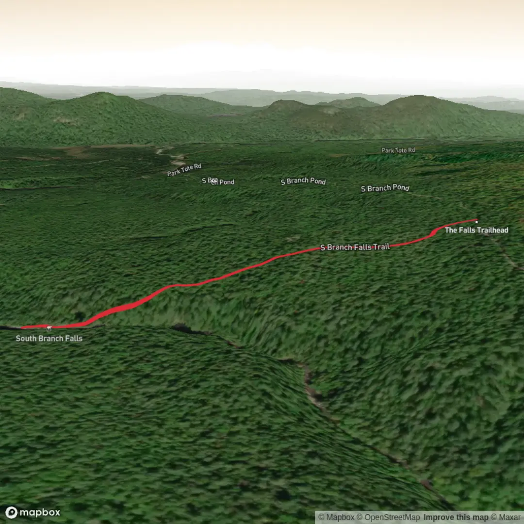 An image depicting the trail South Branch Falls Trail and its surrounding area.