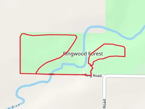 South Fork Bad River - Ringwood Forest Loop