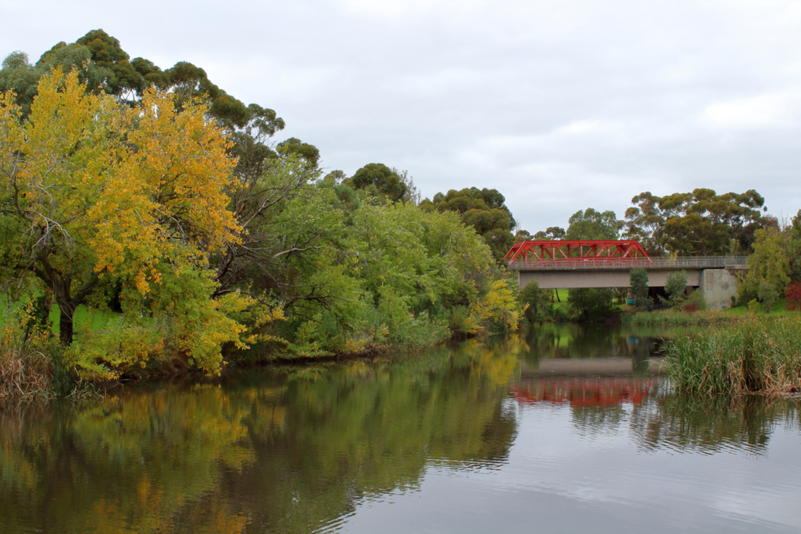 An image depicting the trail River Torrens Linear Park and its surrounding area.