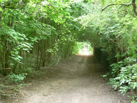 Selsdon Wood Loop