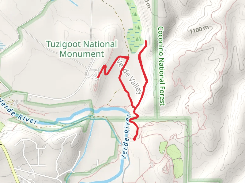 Tavasci Marsh Trail