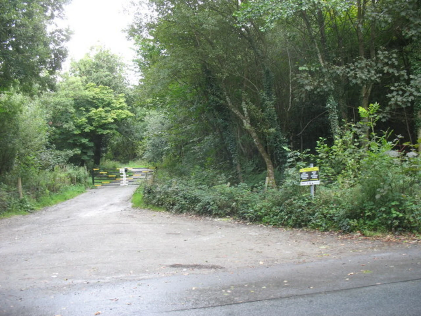 An image depicting the trail Pentraeth Loop and its surrounding area.