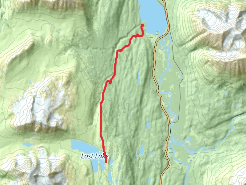 Primrose Trail