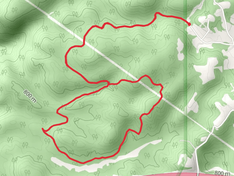 Kate's Plateau Loop Trail