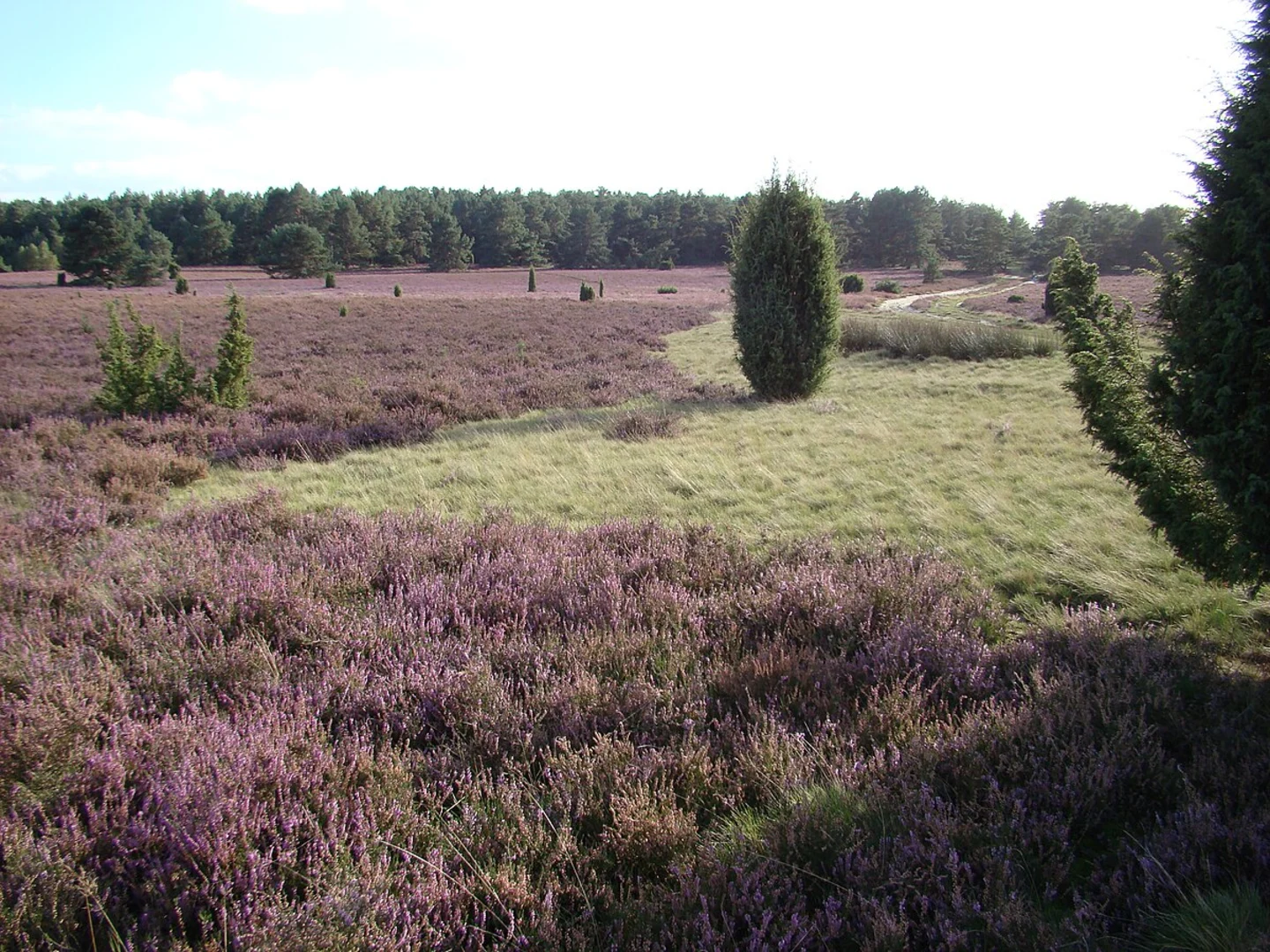 An image depicting the trail Hausselberg Loop and its surrounding area.