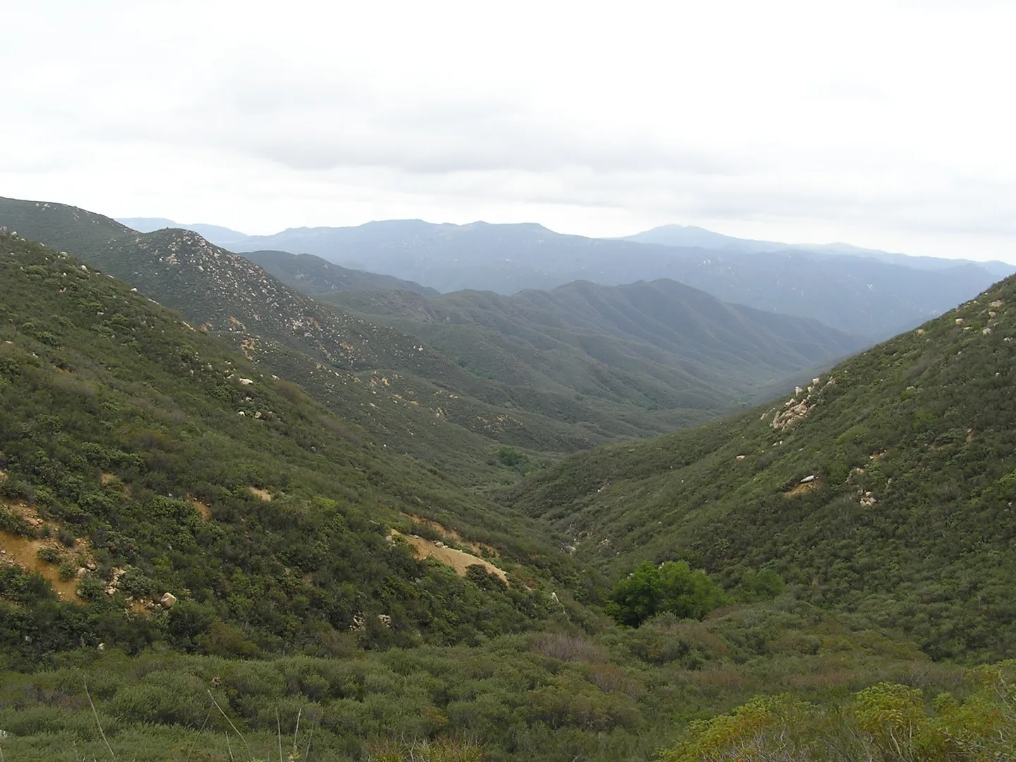 An image depicting the trail New Sugarloaf, Los Pinos via Los Pinos Trail and its surrounding area.