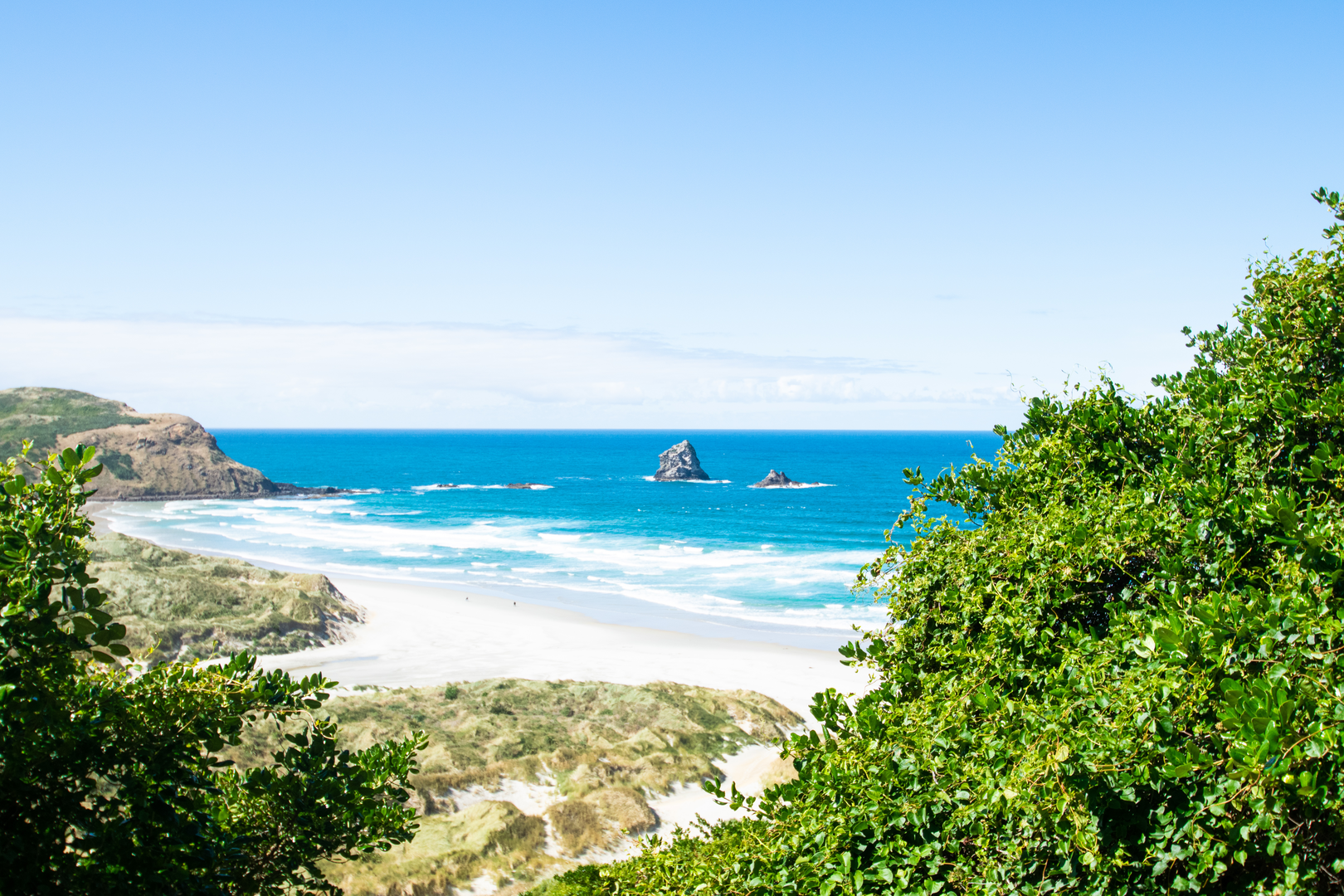 An image depicting the trail Sandfly Bay Track and its surrounding area.