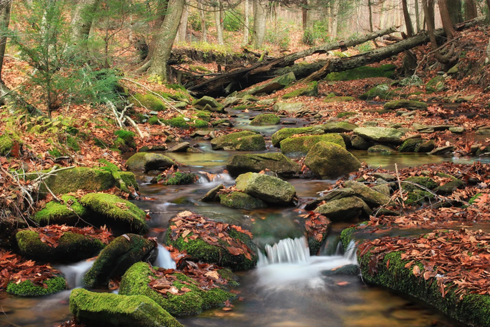 An image depicting the trail Chuck Keiper Trail Loop and its surrounding area.