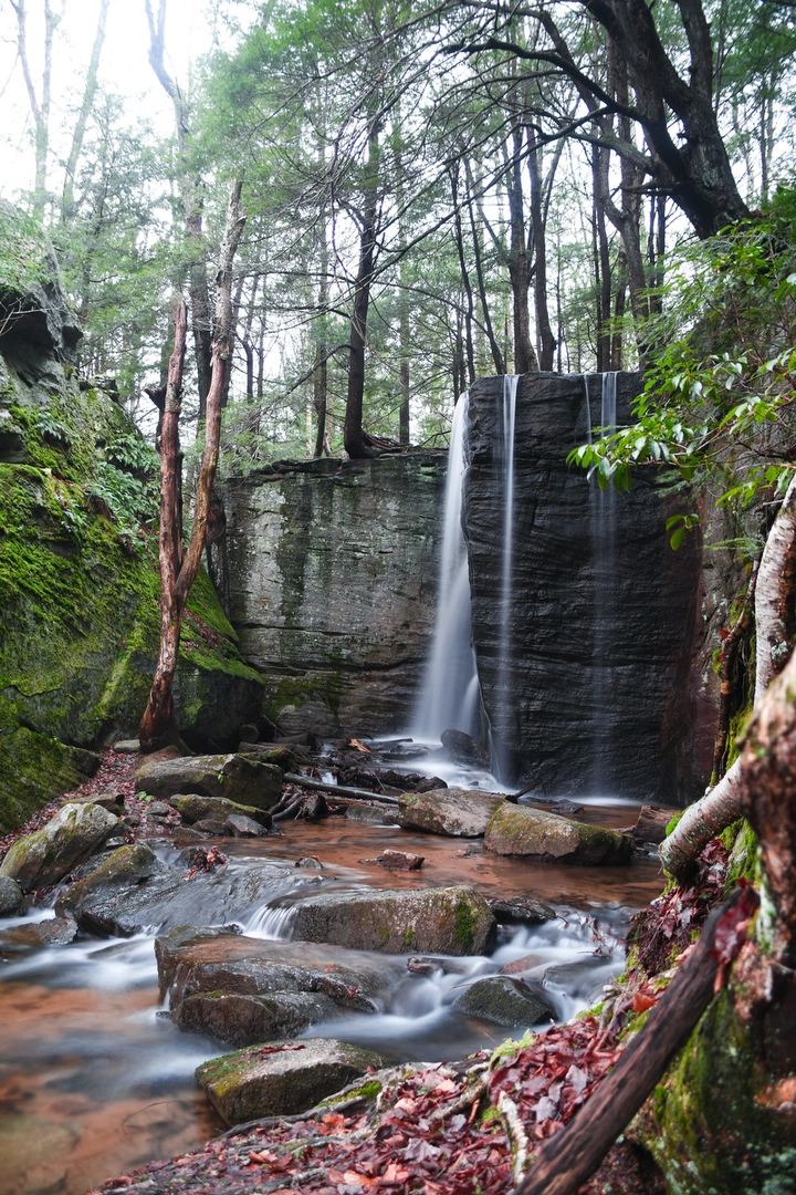 An image depicting the trail Hector Falls and its surrounding area.