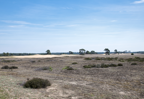 Babberich to s- Heerenberg via Huize Babberich, Hooge Heide and Kasteel Bergh